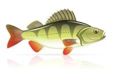 makanan laut untuk pankreatitis